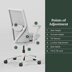 Branch Verve Chair - High Performance Executive Office Chair with Contoured Seat Back and Adjustable Lumbar Rest - High Density Foam Cushion with Aluminum Base - Up to 275 lbs - Mist