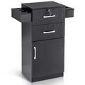 BarberPub 38"x18"x14" Locking Beauty Salon Storage Cabinet, Barber Styling Station with Nylon Hair Dryer Holder, Barber Shop Stylist Equipment with Drawers 2021 (Black)
