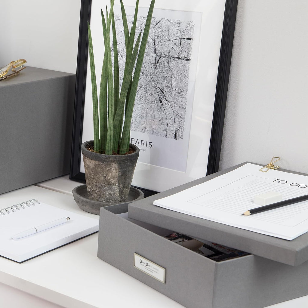 Bigso Box of Sweden Document Box for A4 paper, Brochures and Notes - Box with Lid and Handle - Fibreboard and Paper Box Storage with Lid - Grey