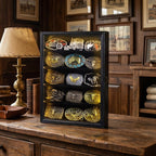 Belt Buckle Display Case, 5 Belt Buckle Holders Included, 17x12 Black Shadow Box with LED Light, Wall-Mounted Men's Belt Clip Storage Box, Lockable