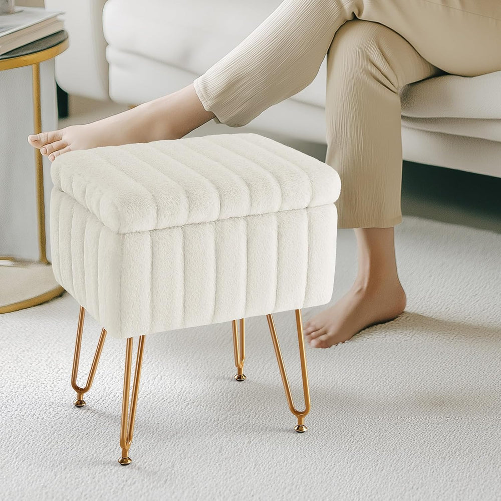 DUMOS Vanity Stool Chair Ottoman with Storage, Makeup Cute Soft Small Footsto...