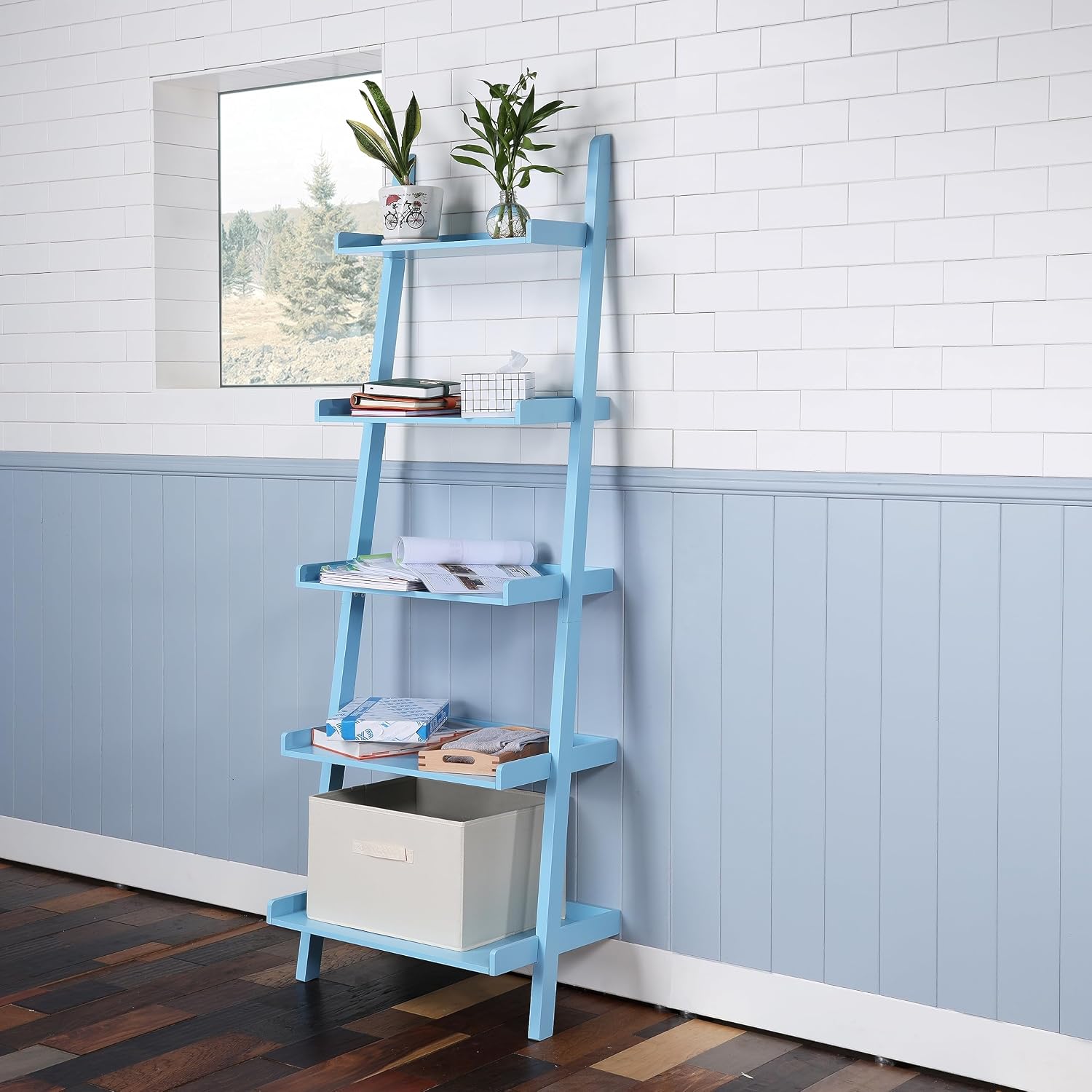 5 Tier Ladder Shelf