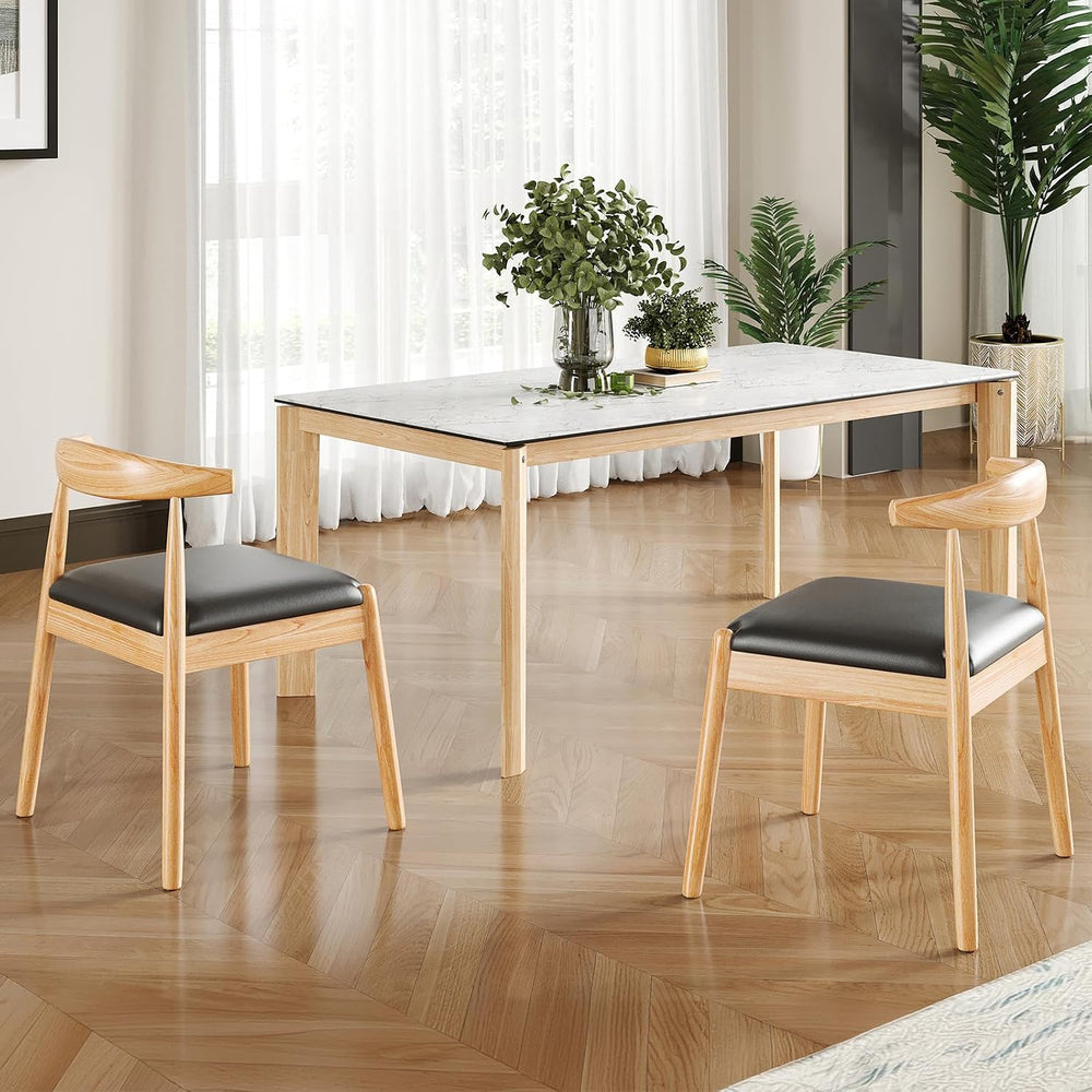 Soohow Dining Chairs Set of 2, Mid Century Modern Kitchen & Dining Room C...