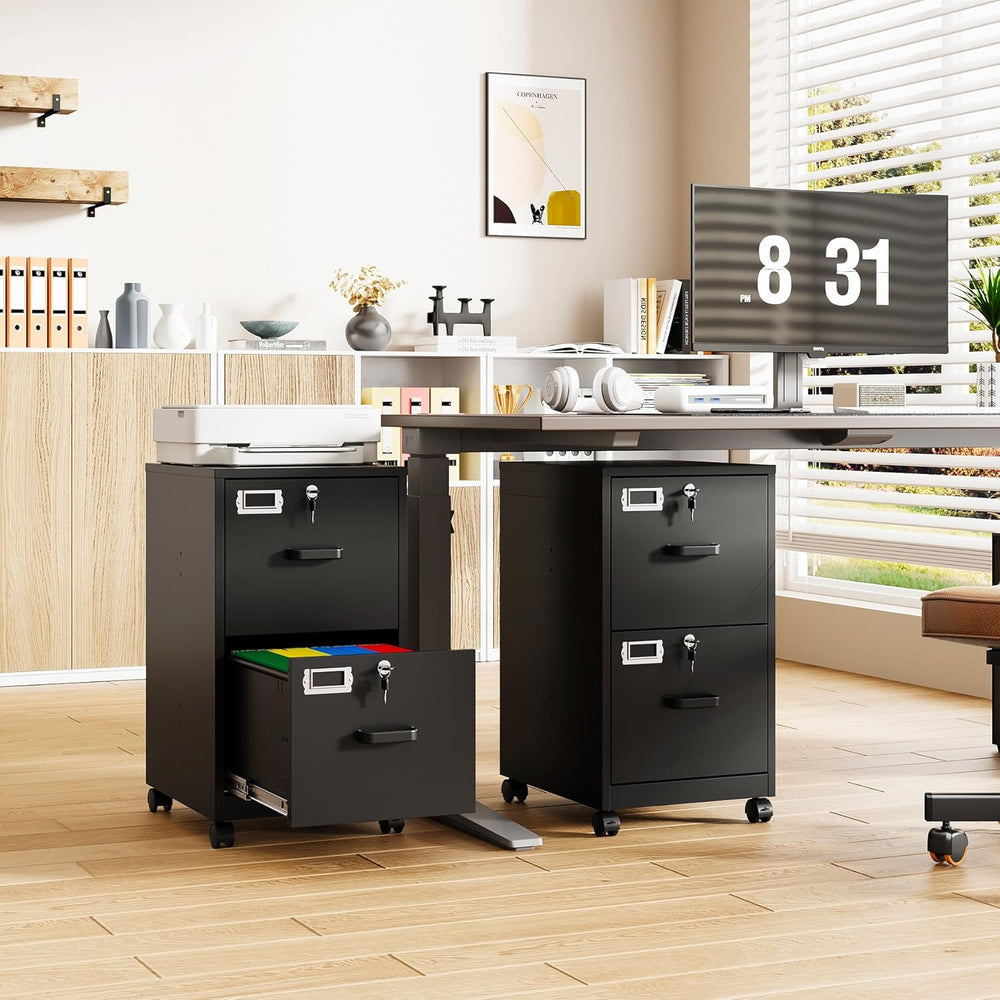 2-Drawer Rolling File Cabinet with Lock, Mobile Vertical File Cabinet for Han...