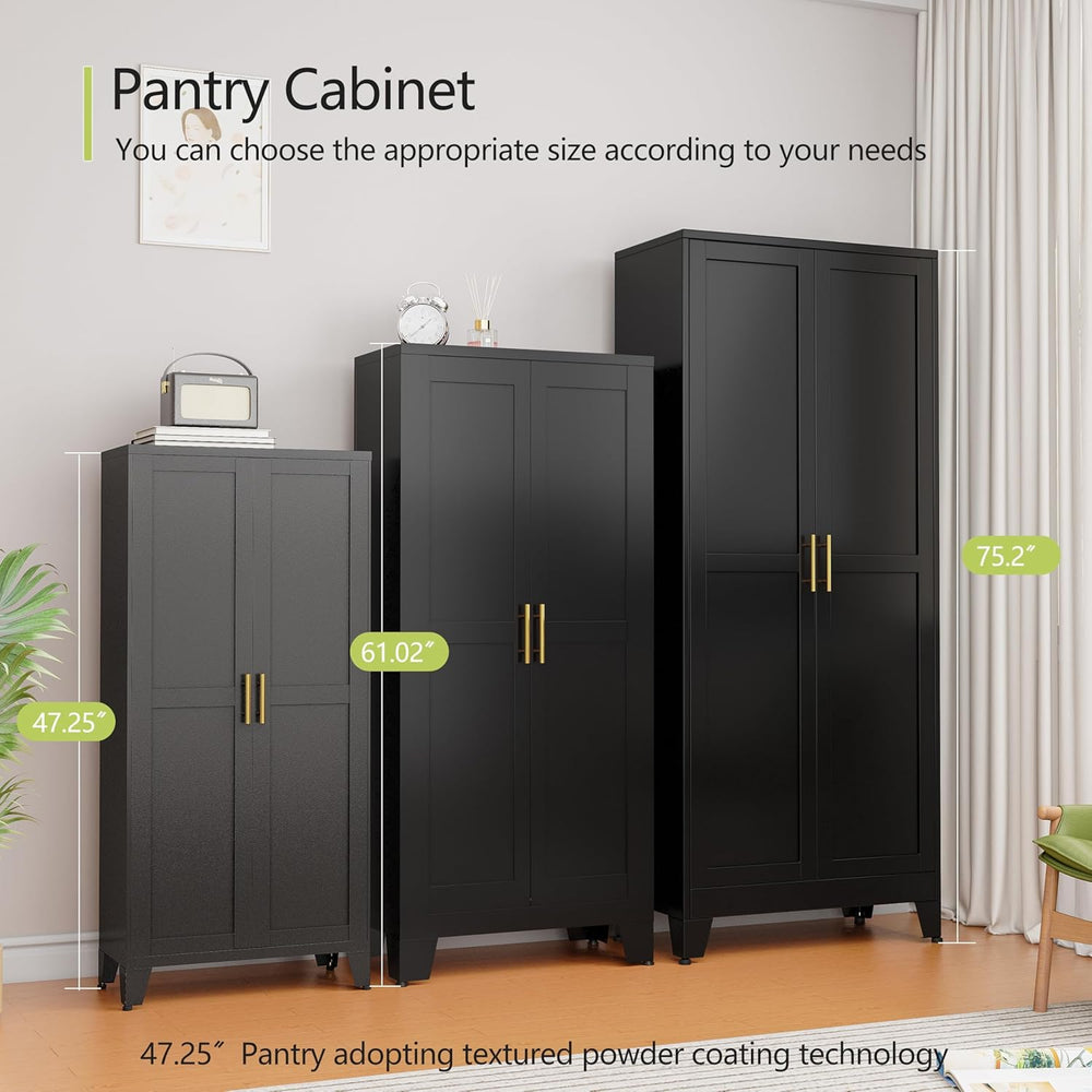 GAIOUS Metal Storage Cabinet, Black Pantry Storage Cabinets with 2 Door | and...