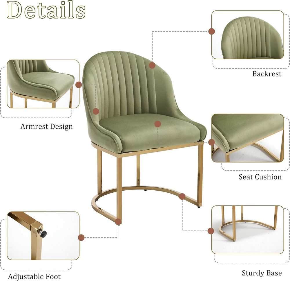 Velvet Dining Chairs Set of 2, Upholstered Dining Room Chairs with Silver Met...