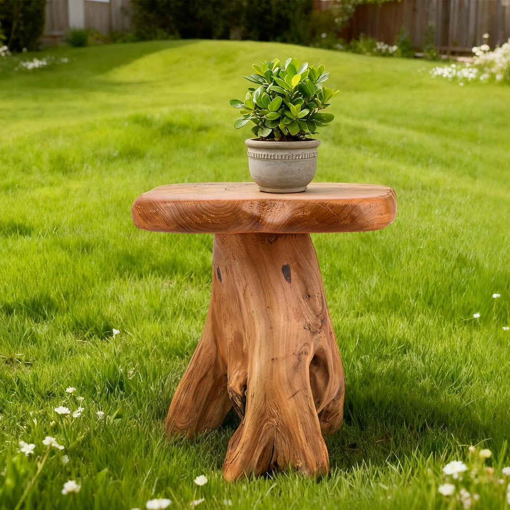 Small Side Table, Freeform Live Edge Wood Stool, Unique Design Natural Plant ...