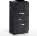 BarberPub Salon Storage Cabinet Beauty Locker Hair Dryer Holder Stylist Spa Equipment with Drawer 2035 (Black)
