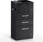 BarberPub Salon Storage Cabinet Beauty Locker Hair Dryer Holder Stylist Spa Equipment with Drawer 2035 (Black)