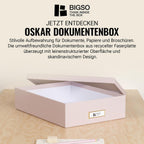 BIGSO OSKAR A4 Document Box - Storage Box with Lid and Handle - Desk Tray for Paper, Brochures & Documents - Shelf Storage Box Made of Fibreboard and Paper - Pink
