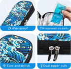 YOUSHARES Insulin Cooler Travel Case - Diabetic Case Insulated Organizer Portable Cooling Bag for Insulin Pen and Medication Diabetic Care Supplies with 2 TSA Approved Ice Pack
