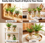 6Pcs 3 Size Glass Plant Propagation Stations, Desktop Flower Vases | Hydroponic Glass Container Vase (2 Large & 2 Medium & 2 Small) for Plant Cuttings, Desks, Living Room, Bedroom, Office Decor