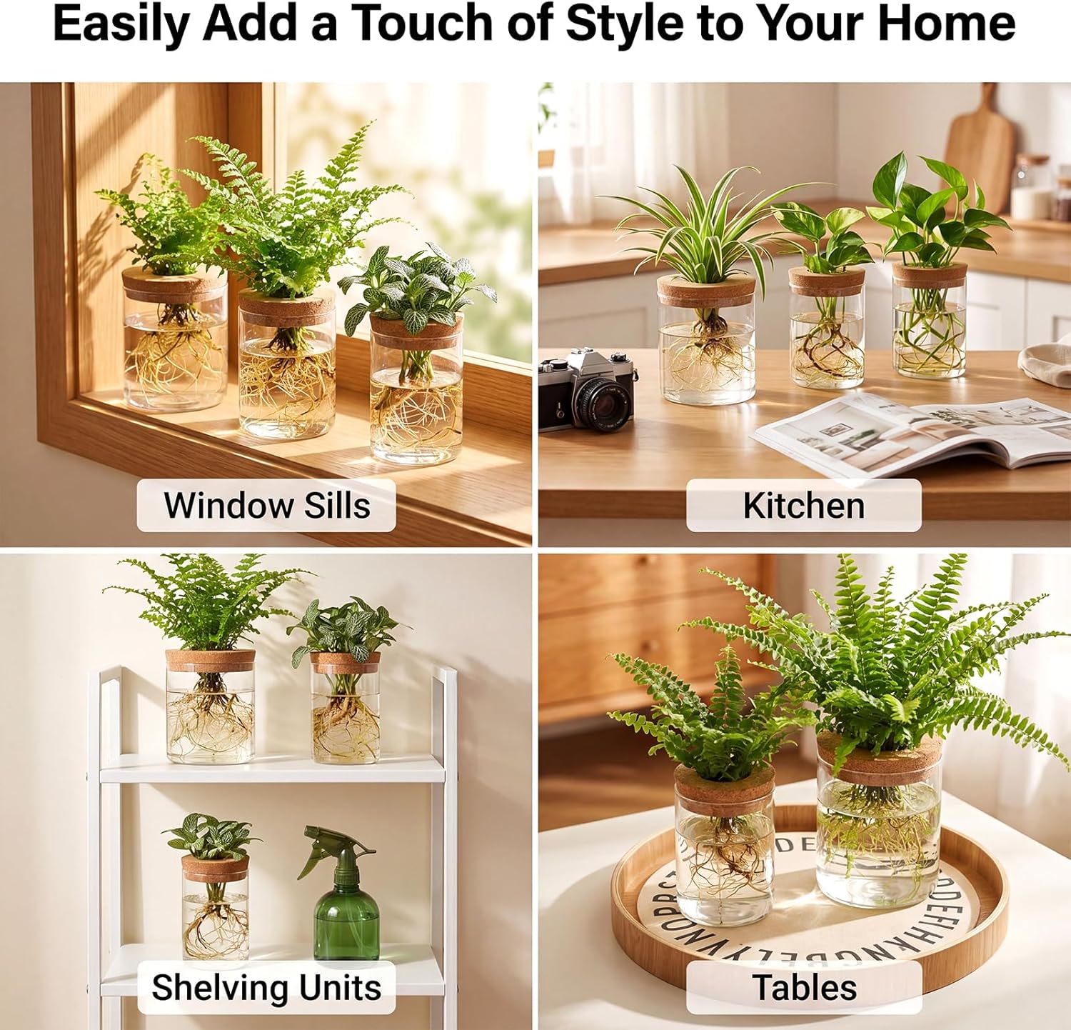 6Pcs 3 Size Glass Plant Propagation Stations, Desktop Flower Vases | Hydroponic Glass Container Vase (2 Large & 2 Medium & 2 Small) for Plant Cuttings, Desks, Living Room, Bedroom, Office Decor