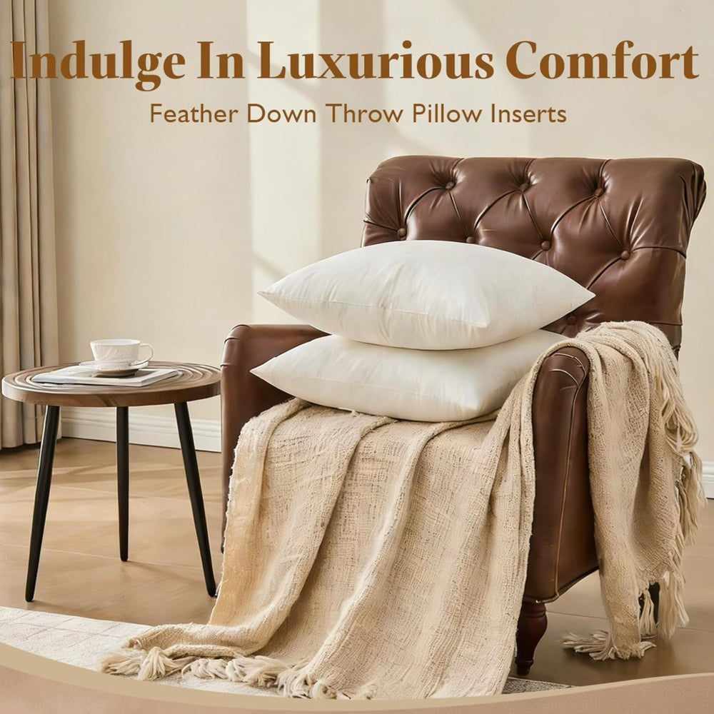 BPC 20x20 Down Feather Throw Pillow Inserts Set of 2, 100% Organic Cotton Cov...
