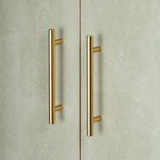 Sango Shagreen 2-Door Cabinet, Natural Finish Storage Cabinet with Faux Shagreen Texture, Brass Handle, Adjustable Shelf, Timeless Luxury Design, Versatile Furniture for Living Room or Dining Room