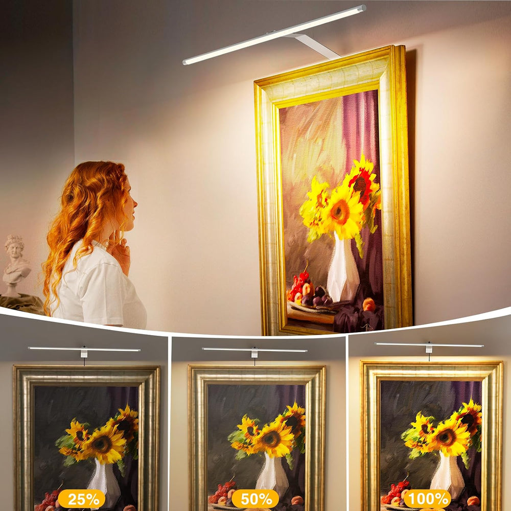 Picture Light for Wall Plug in 24inch, Dimmable LED Art Photo Light with Remo...