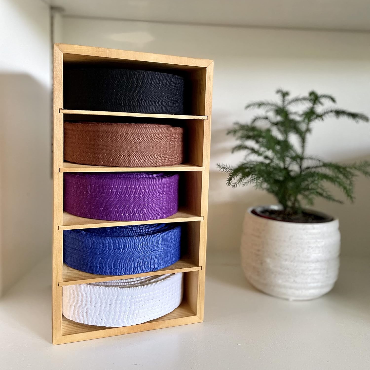 Alley Cats Brazilian Jiu Jitsu Belt Display | Pine Belt Box | 5 BJJ Belt Display Case | White to Black Belt Rack | Martial Arts Jiu Jitsu Belt Holder | Gifts for Jiu Jitsu Practitioners | OSS