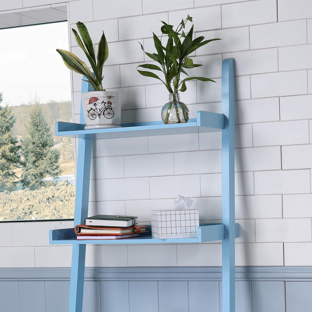 5 Tier Ladder Shelf