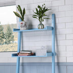 5 Tier Ladder Shelf