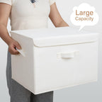 GRANNY SAYS Storage Boxes with Lids, Large Storage Bins with Lids, Decorative Box, Shelves Baskets, Clothes Storage and Organization, 2-Pack