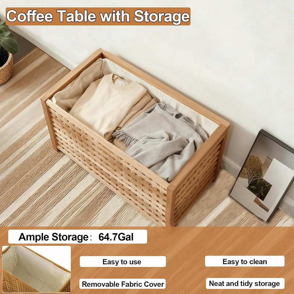 Solid Wood Entryway Bench with Storage, storage chest with Removable Bag | La...