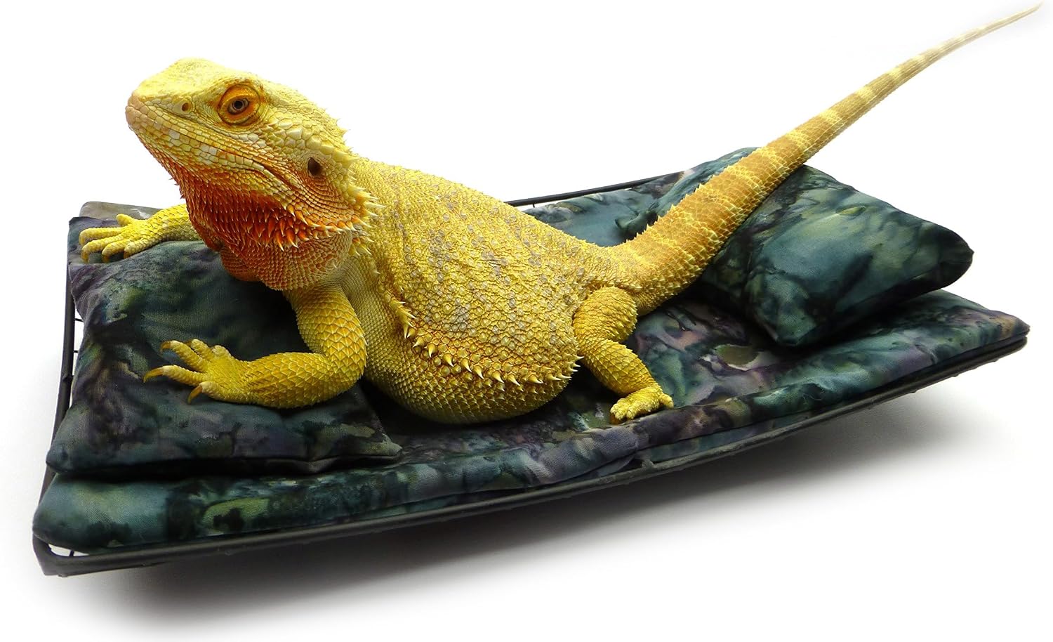 Chaise Lounge for Bearded Dragons, Bluegreen Lavendar Batik Fabric