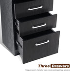 BarberPub Salon Storage Cabinet Beauty Locker Hair Dryer Holder Stylist Spa Equipment with Drawer 2035 (Black)