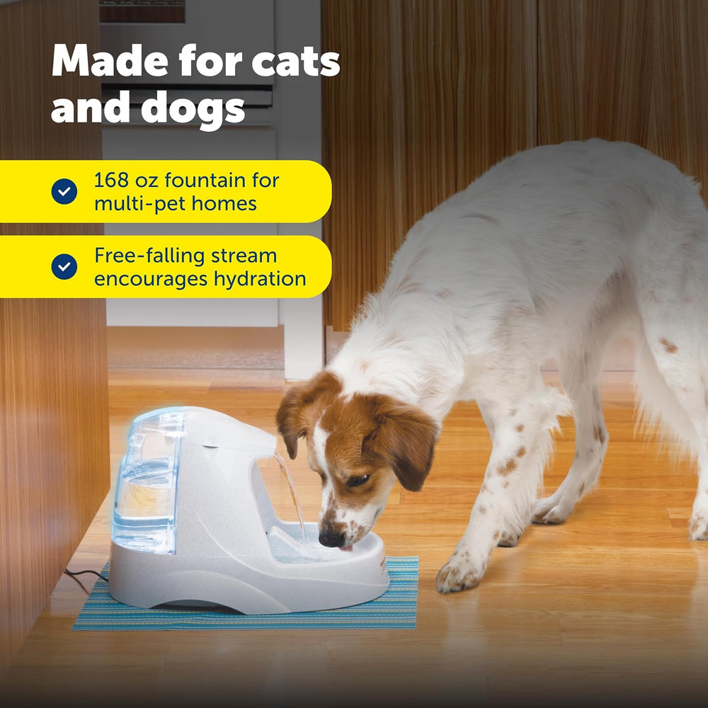 PetSafe Drinkwell Platinum Cat & Dog Water Fountain + 12 Carbon Filters