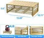 gianotter Computer Monitor Stand Riser, office organizer with Drawer, Office Organizers Storage for Classroom Office Supplies (Gold)