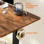 Standing Desk Adjustable Height, 63 x 24 in Electric Sit Stand up Desk for Home Office, Ergonomic Workstation Computer Desk with Two-Piece Desktop, Sit Stand Office Desk, Vintage Brown
