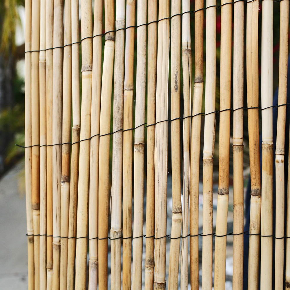 FOREVER BAMBOO Jumbo Reed Bamboo Screen Fencing Privacy Fence Backyard Divide...