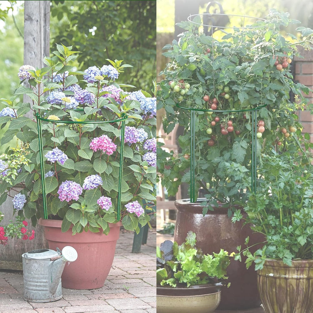 6 Pack 30 inch Plant Support Stakes, Heavy-Duty Half Round Peony Support, Gar...