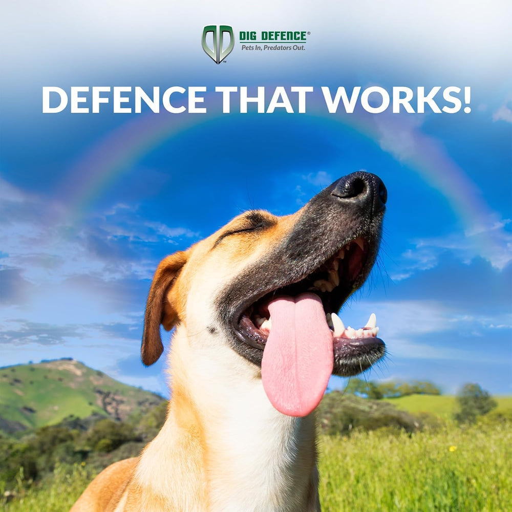 Dig Defence Original Animal Barrier Garden Fence - Small/Medium, 12 Pack
