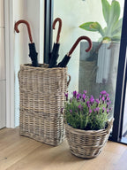 Kouboo Oval Rattan Kobo Umbrella Holder, Freestanding Umbrella Stand and Rack with Drip Tray for Home, Office or Business Entryway