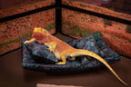 Chaise Lounge for Bearded Dragons, Bluegreen Lavendar Batik Fabric