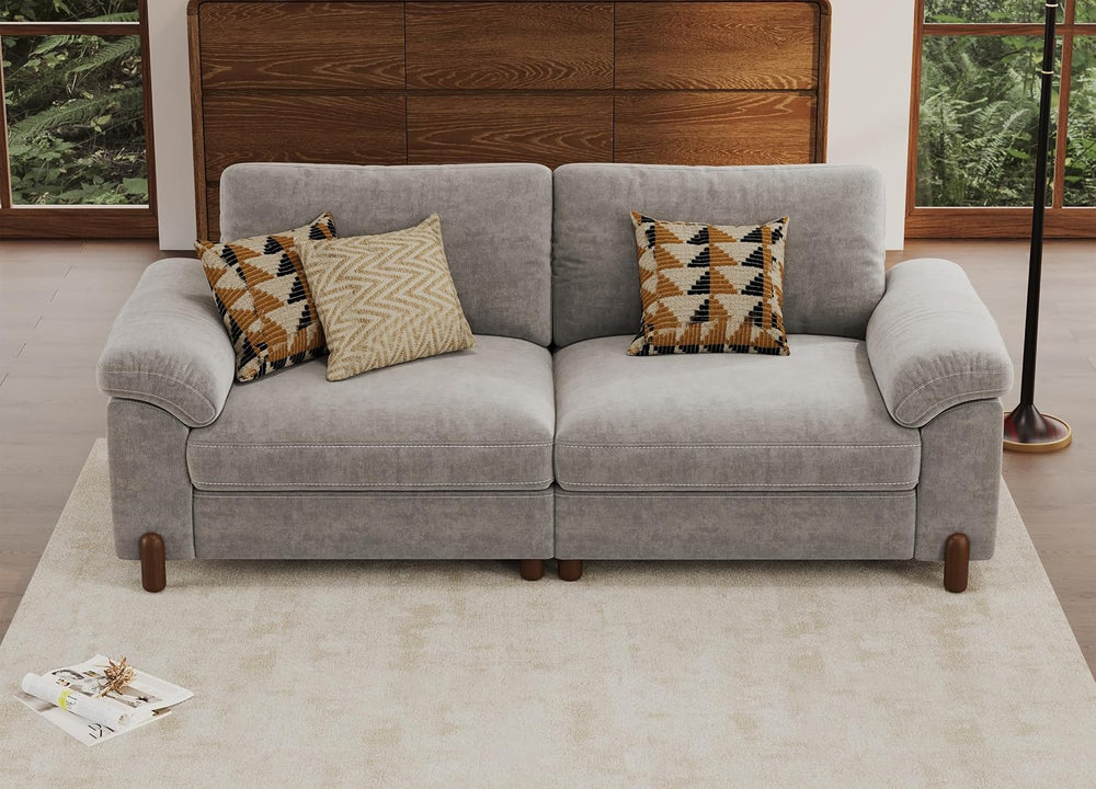 SITJOY Cloud Couch Sectional, 2 Seater Loveseat Chenille in Light Gray | Deta...