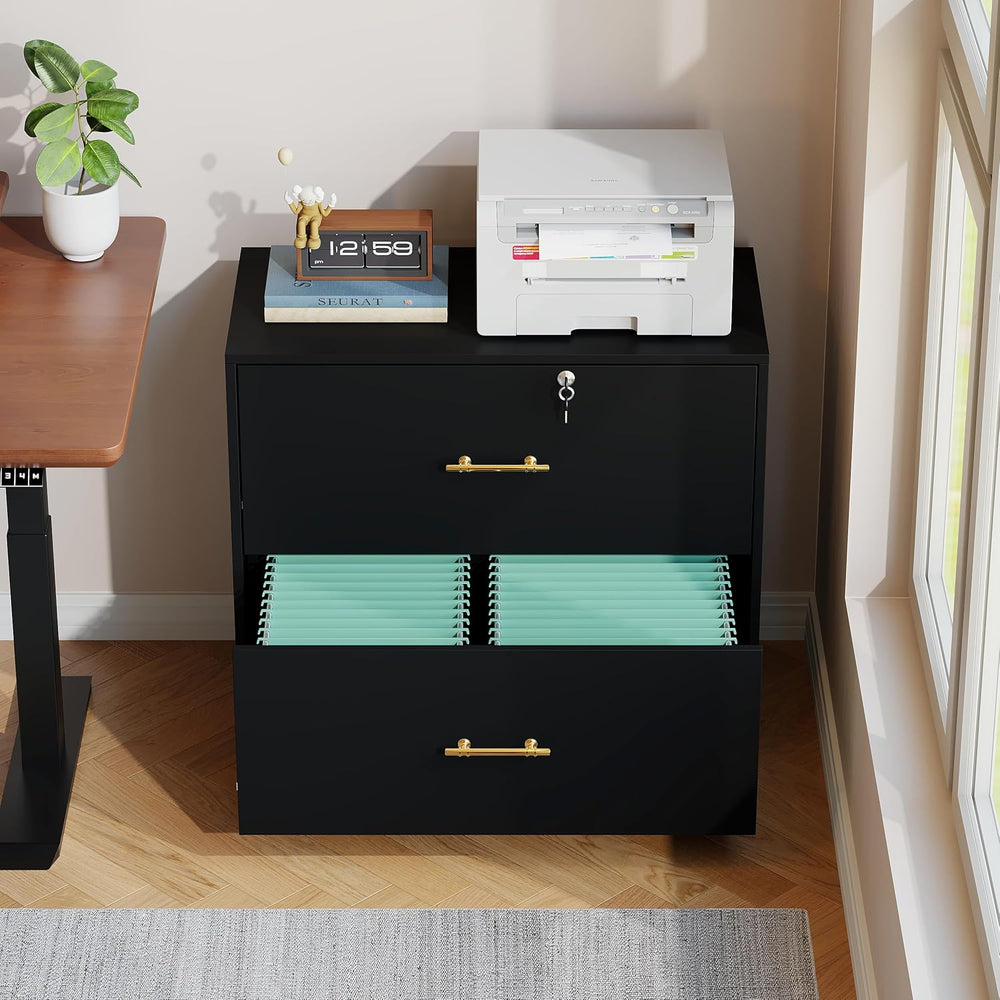 2 Drawer Lateral File Cabinet with Lock, Suitable for Letter/A4/F4/Legal Size...