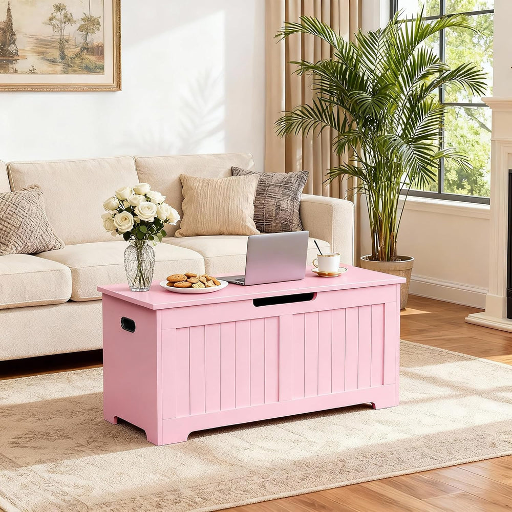 ZENY Storage Chest, Lift Top Storage Trunk, Entryway Shoe Bench, Wooden Stora...
