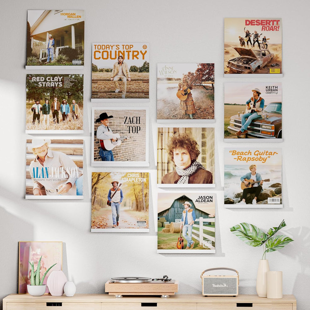 Emfogo Vinyl Record Shelf Wall Mount, 12 Pack Album Record Holder Wall, White...