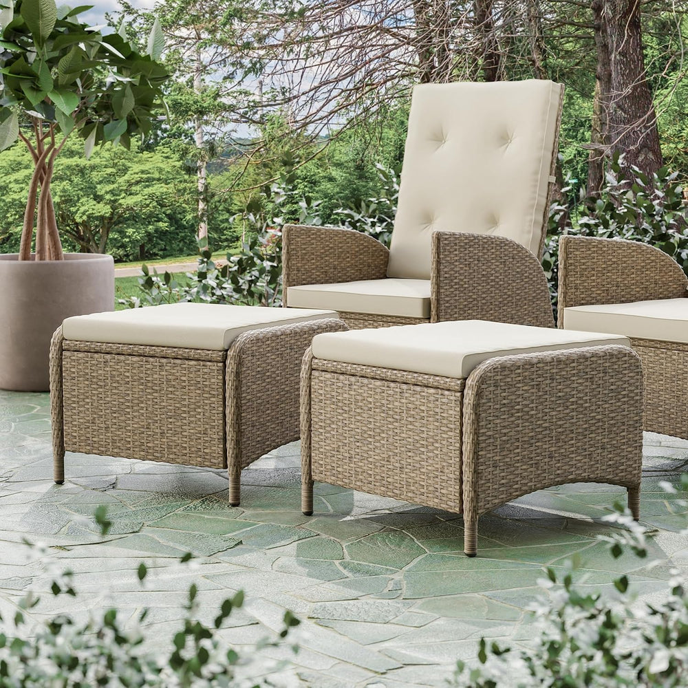 Greemotion Garda 2-Piece Outdoor Patio Aluminum Polyrattan Wicker Outdoor Ott...