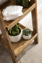 Kate and Laurel Lowry Farmhouse Wood Ladder Shelf; 18 x 14 x 58; Natural Wood; Decorative Modern Leaning Shelf for Storage and Display