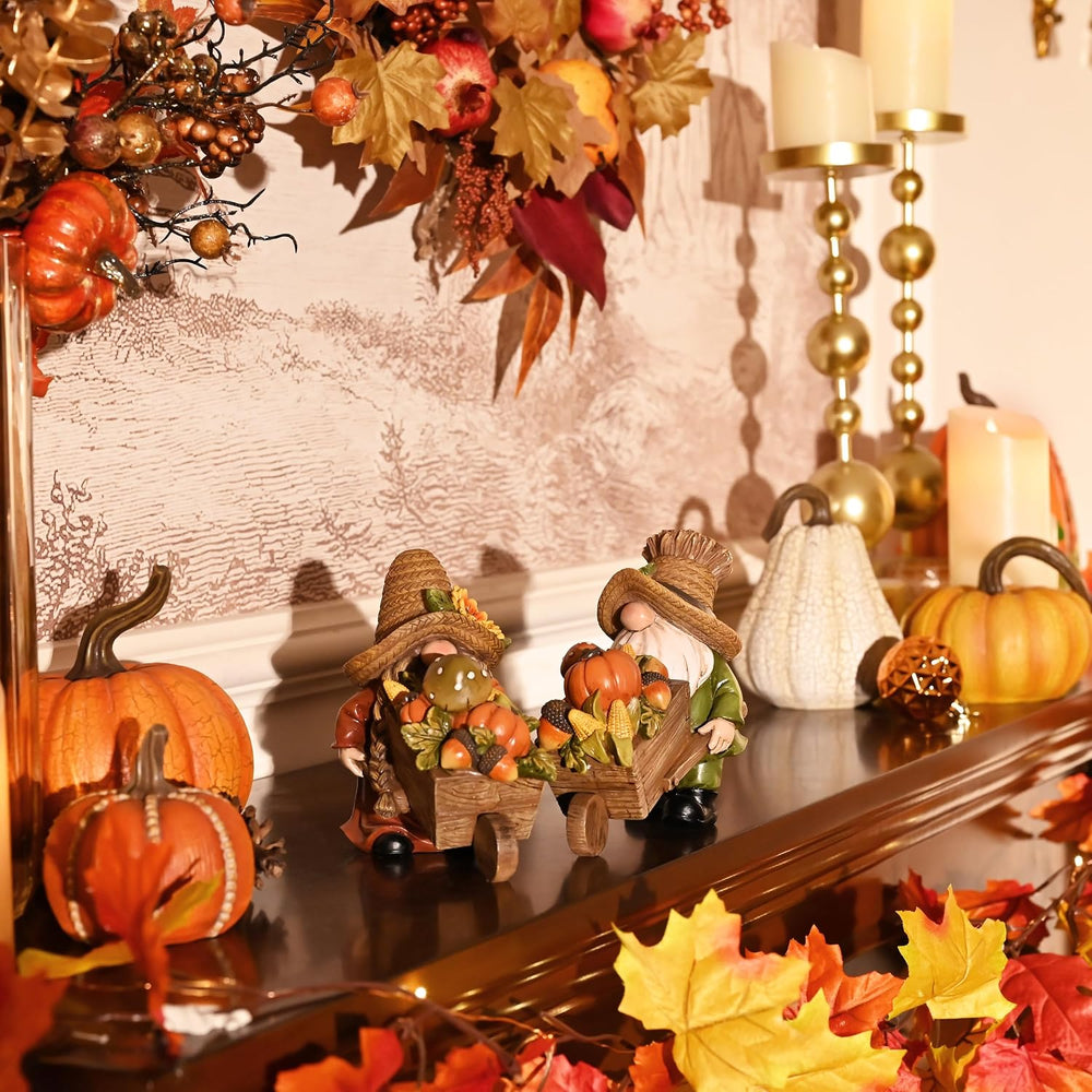 Valery Madelyn Fall Decorations for Home, 2 Pcs Fall Gnomes Decor for Table I...