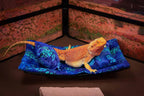 Chaise Lounge for Bearded Dragons, Sea Turtles Fabric