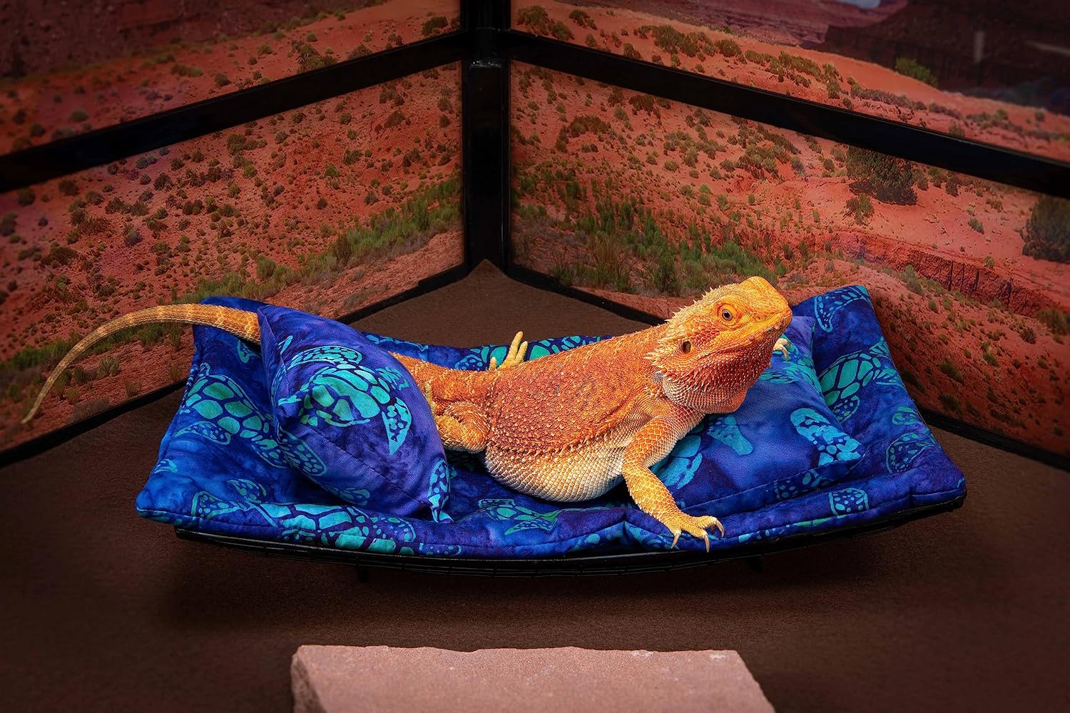 Chaise Lounge for Bearded Dragons, Sea Turtles Fabric