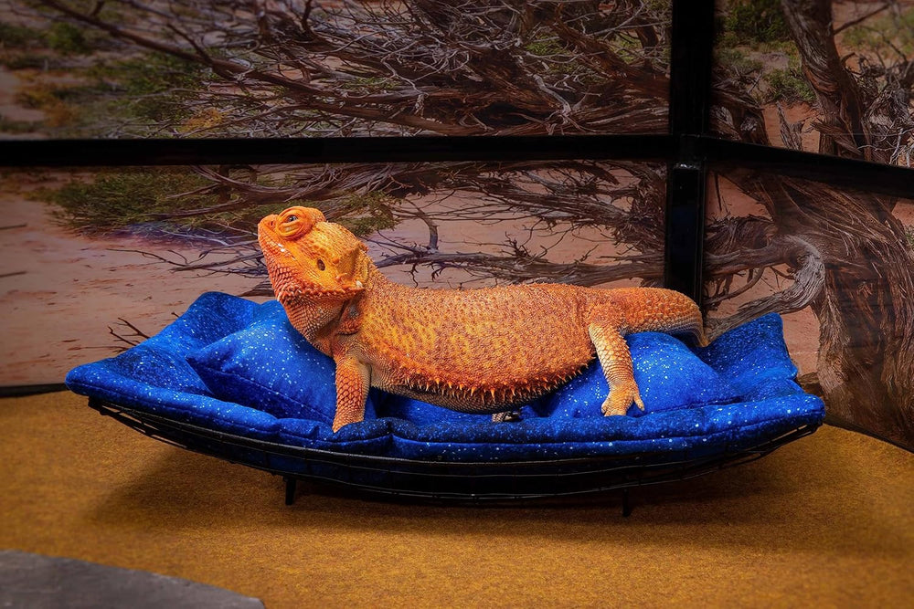 Chaise Lounge for Bearded Dragons, Starry Night Fabric