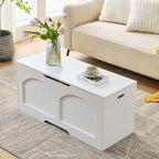 Storage Chest, 31.5" Wooden Storage Trunk Bench, Entryway Bench, Storage Box, Toy Chest with Lift Top, U-Shaped Opening, Easy Assembly, 31.5" x 15.7" x 18.3" Toy Box Chest Organizer Bench, Ivory White