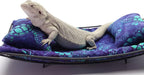 Chaise Lounge for Bearded Dragons, Sea Turtles Fabric