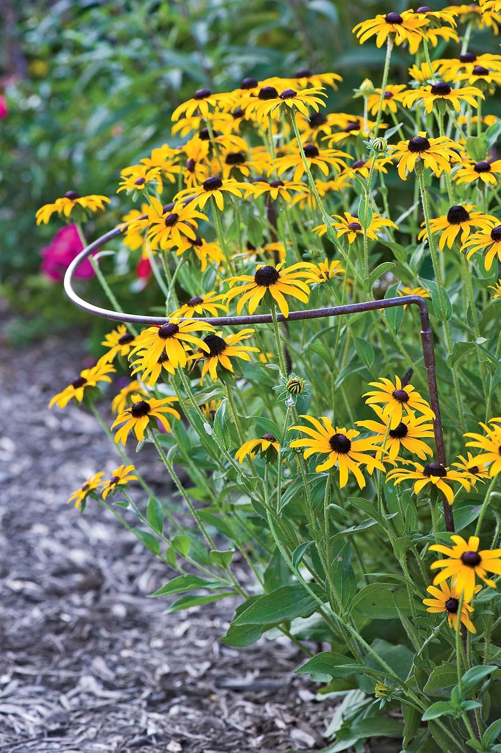 Gardener's Supply Company Jardin Half Round Plant Supports -18" x 35...