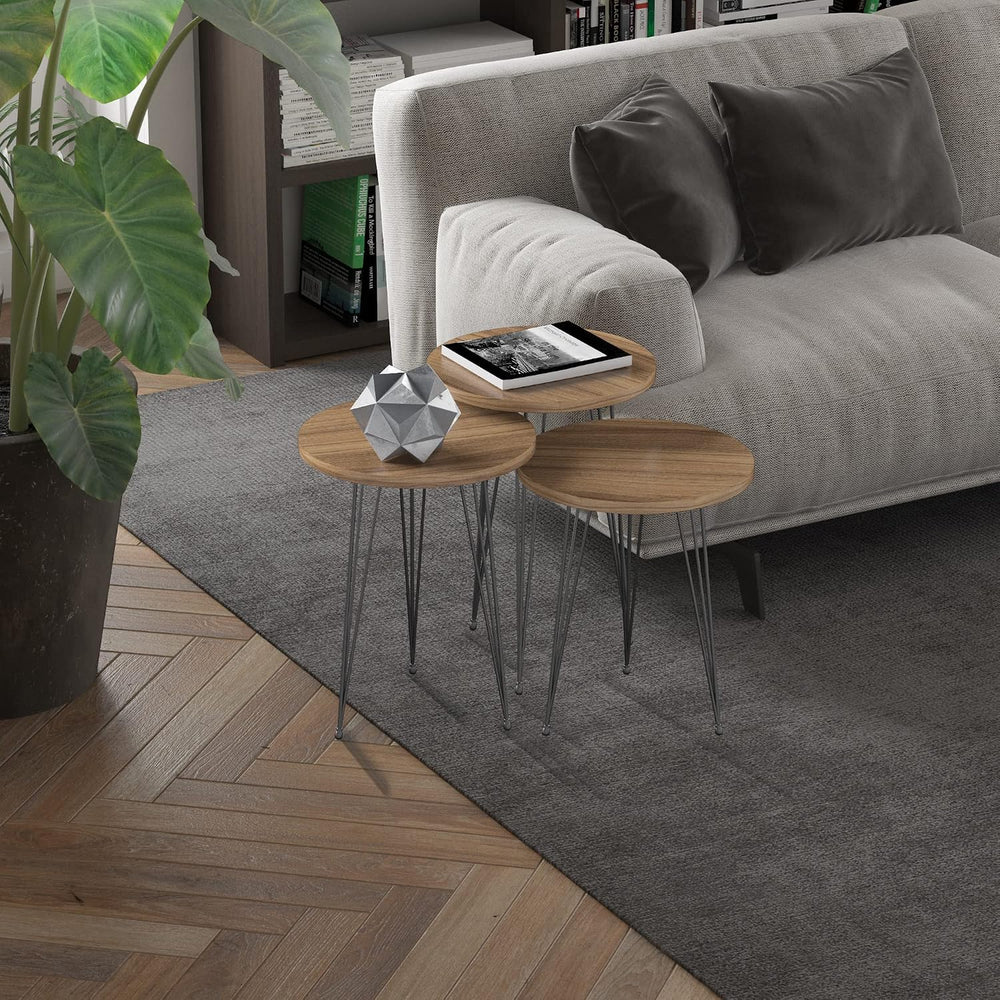 Round Nesting Set of 3, Modern Woodgrain Look Base for Living Room Coffee Tab...