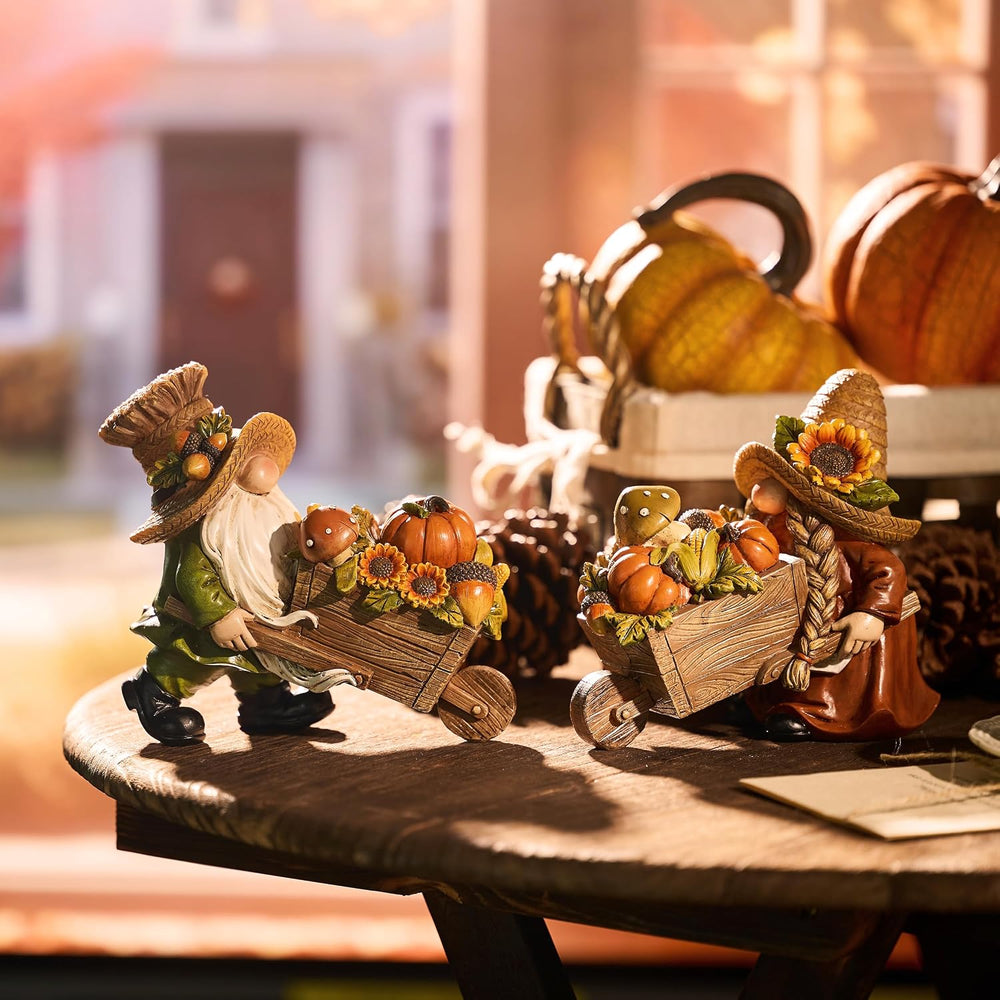 Valery Madelyn Fall Decorations for Home, 2 Pcs Fall Gnomes Decor for Table I...